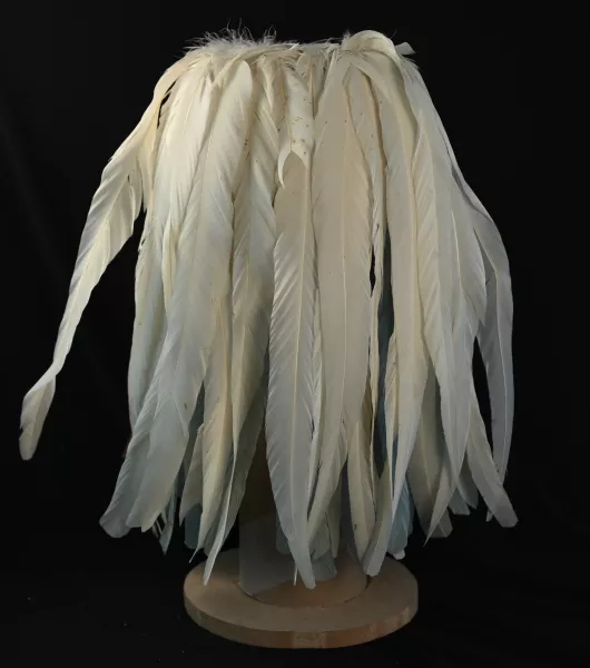 Bavarian General "Federbush" / Plume & Trichter for Parade Visuel 1 principal